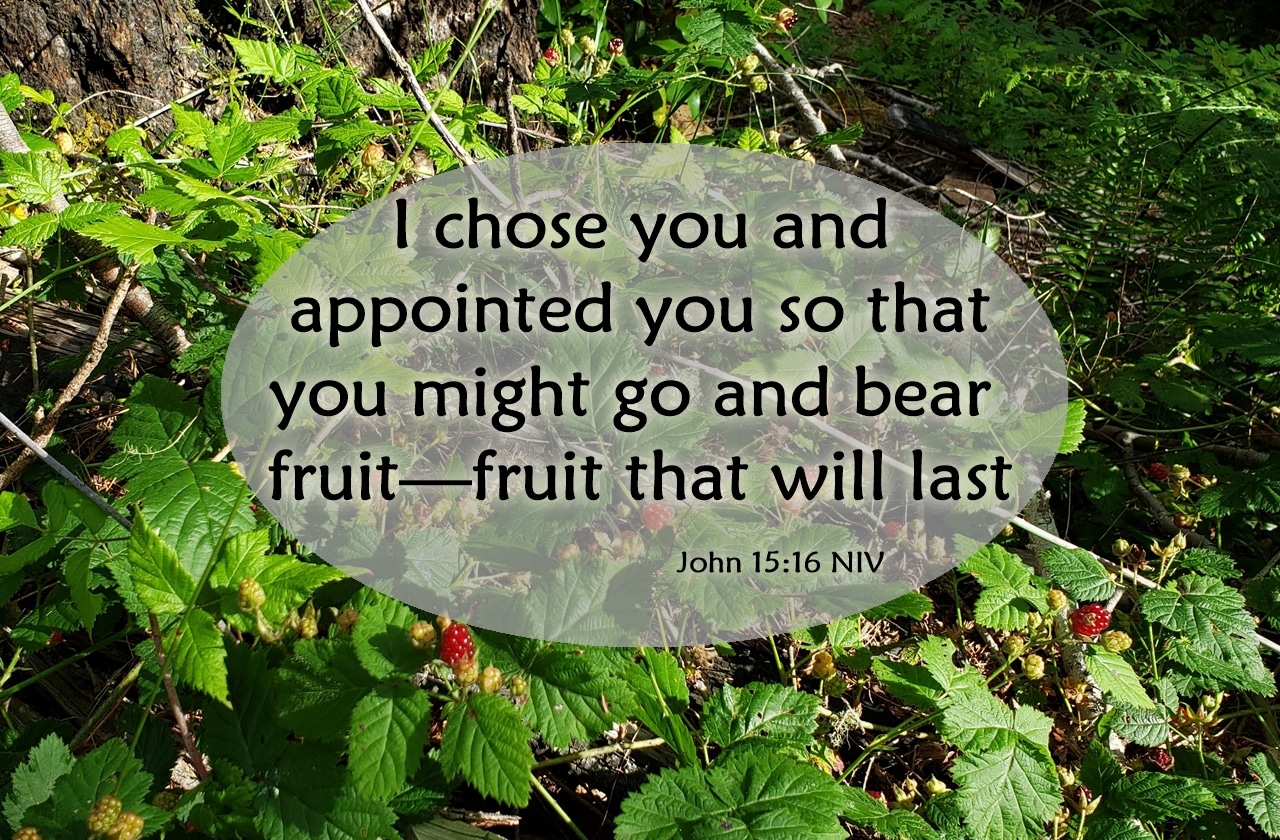 Bearing Fruit